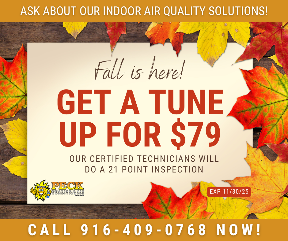 Fall Tune Up 2025
